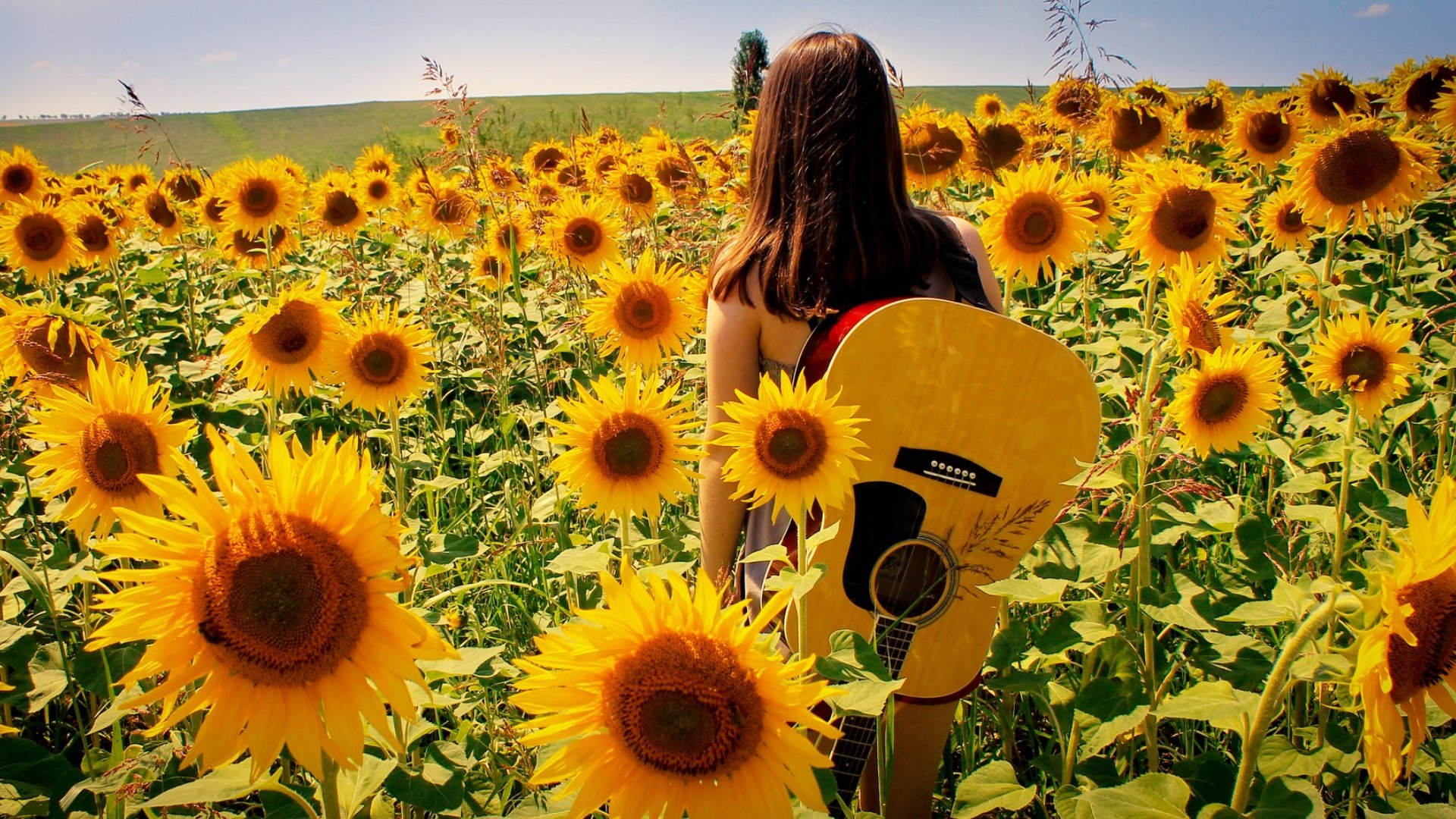 chica guitarra música verano girasoles naturaleza