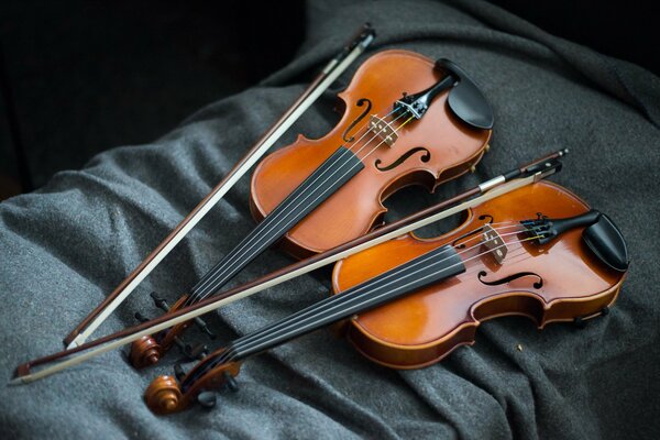 Dos violines con arcos en la colcha