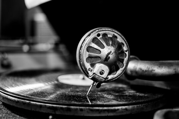 Noir et blanc macro prise de vue gramophone