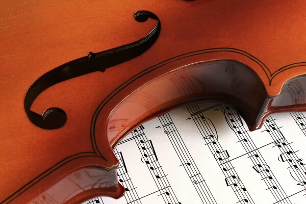 Violino e spartiti. Quaderno di musica