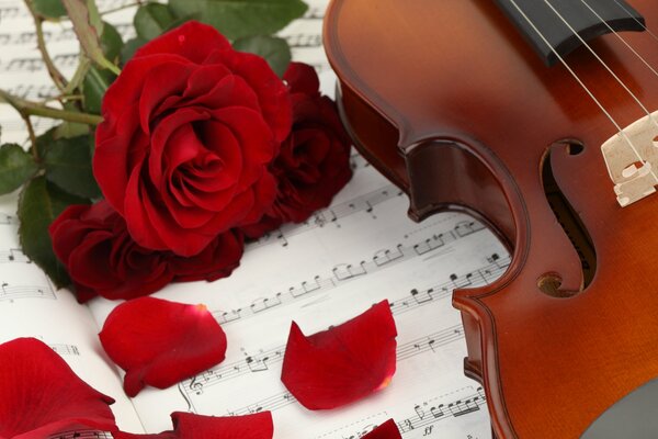 Romance in music and colors