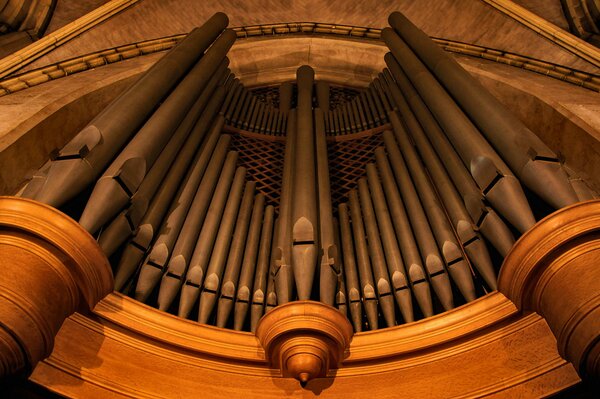 Organ pipes. bottom view