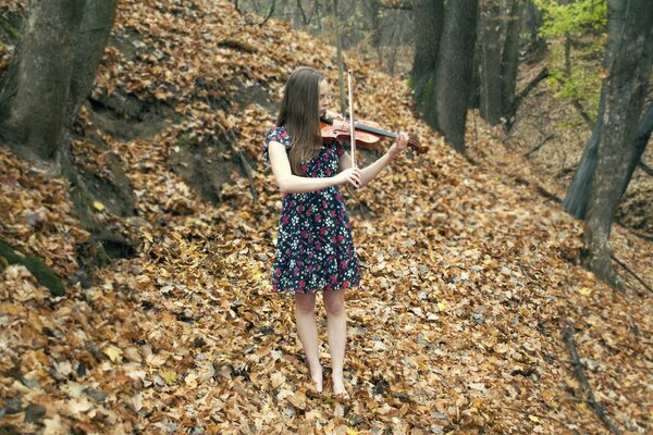 Musica autunnale di una ragazza con un violino