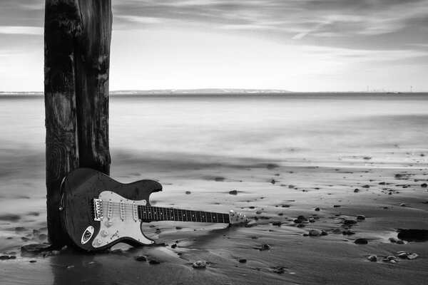 Guitarra eléctrica efecto blanco y negro