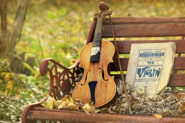 Violín en el banco, textura musical