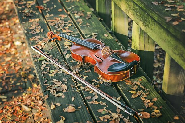 Musica per violino su una panchina autunnale