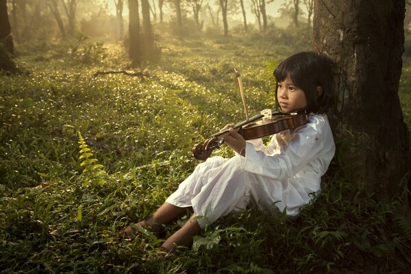 Musique de forêt jouée sur le violon