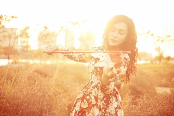 Beautiful girl with a violin in the field