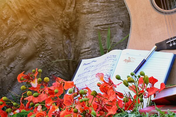 Notenbuch in Farben mit Gitarre