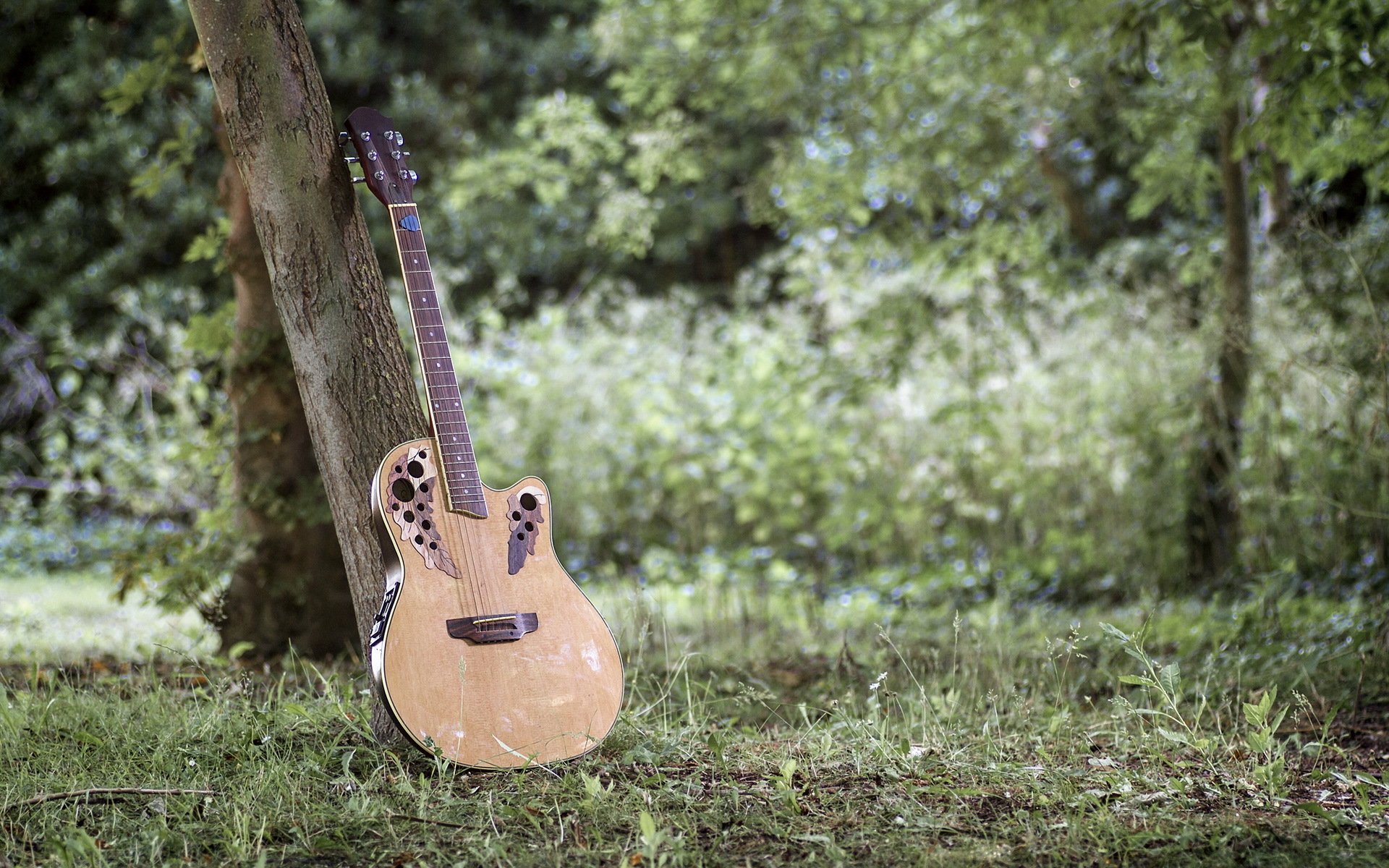 acustico chitarra musica