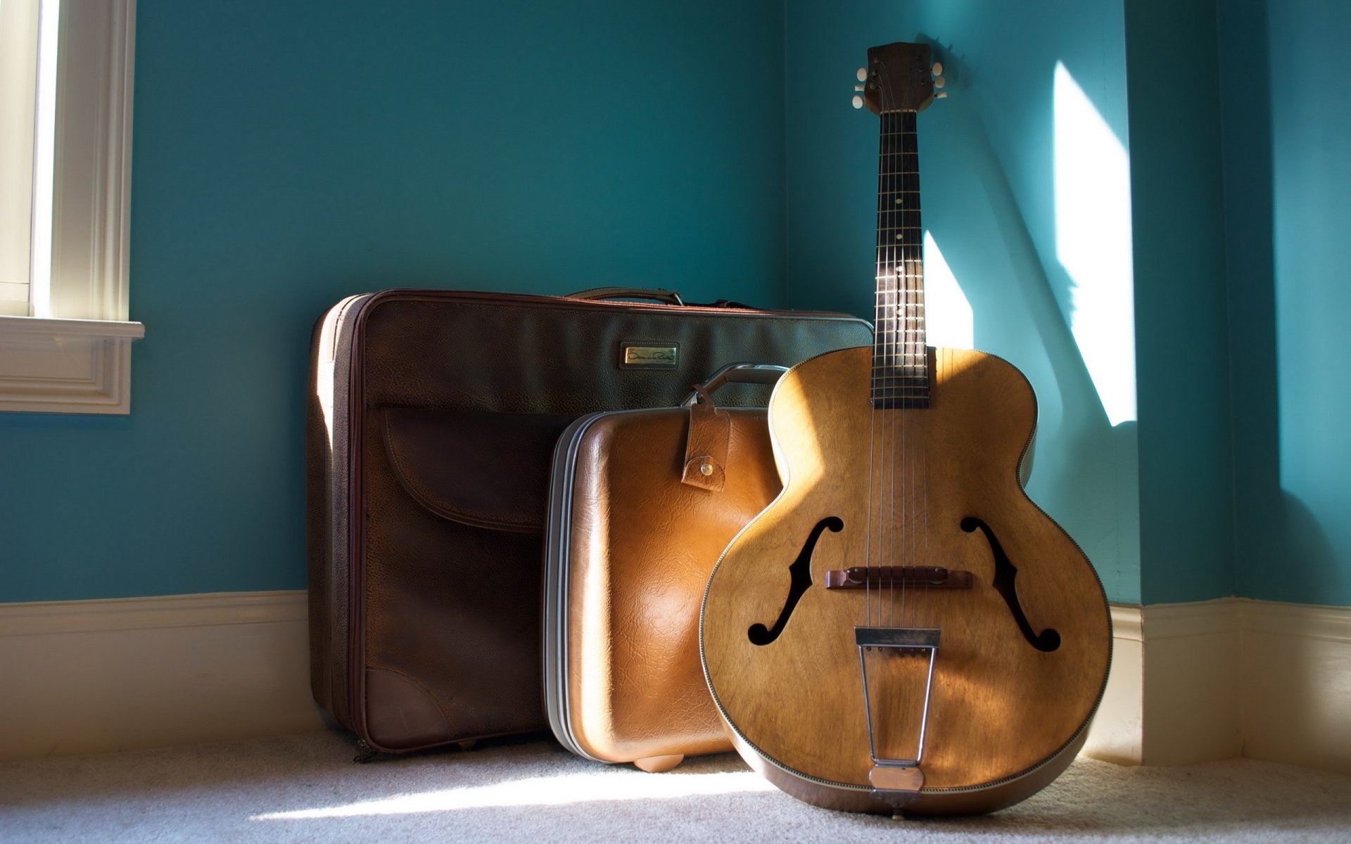 guitars music bag