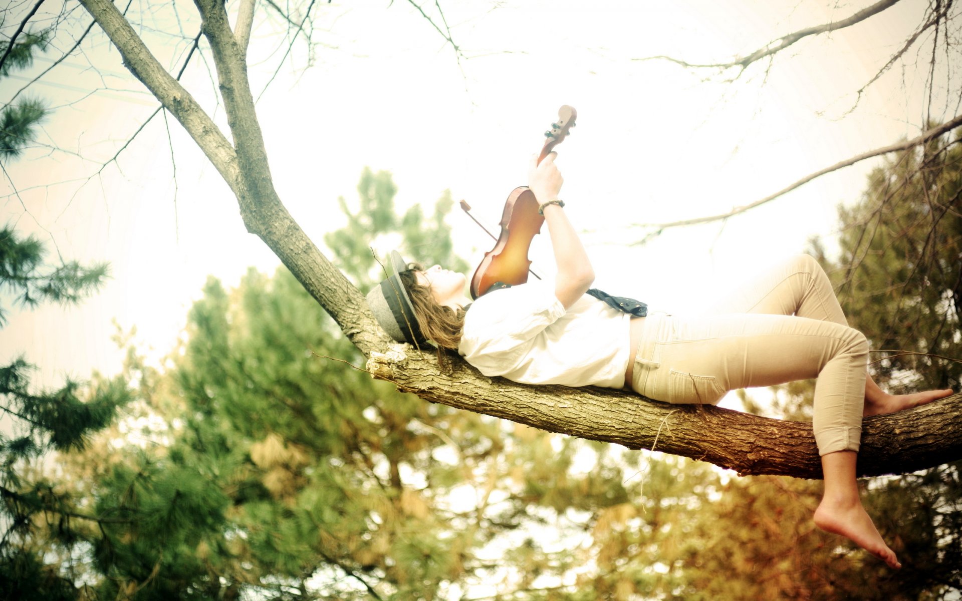 ragazza violino musica