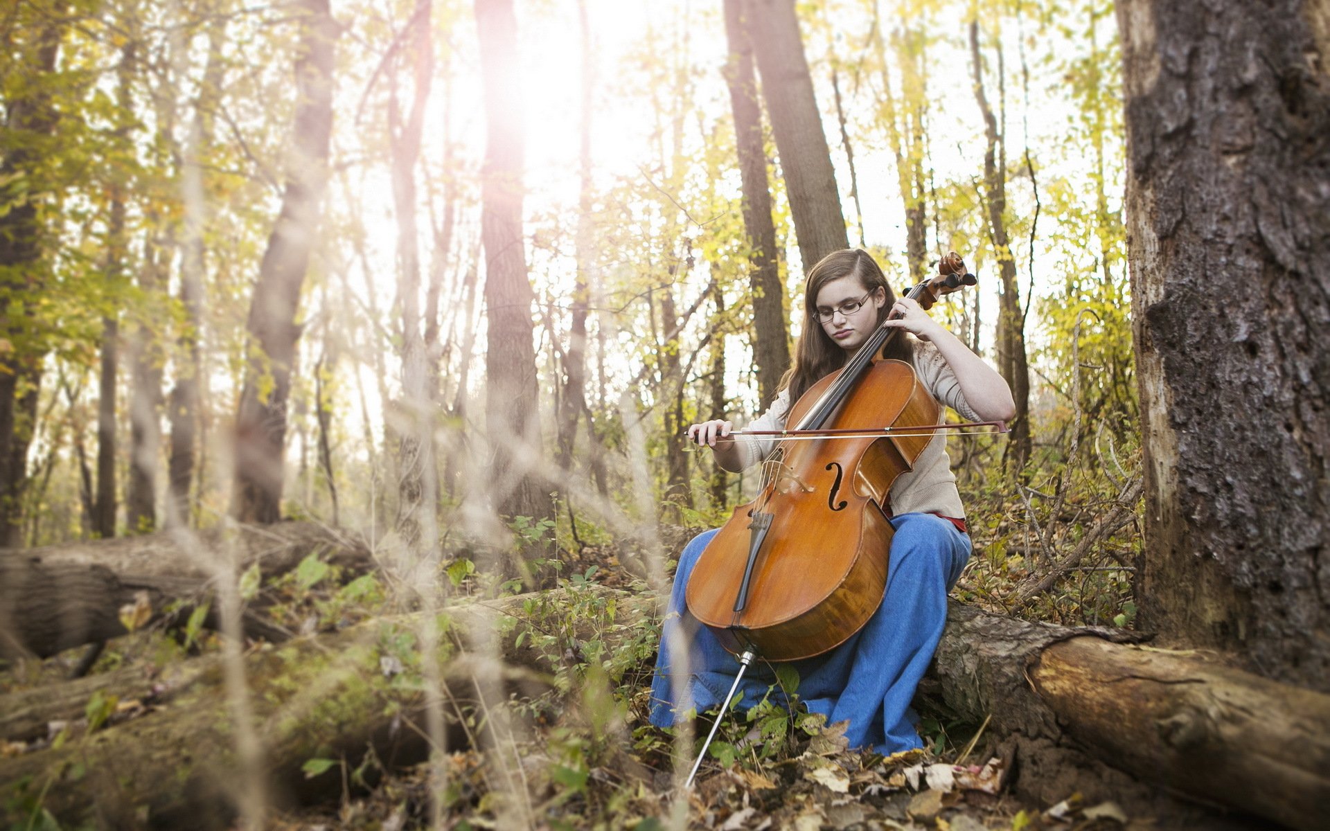 violoncello autunno autunno