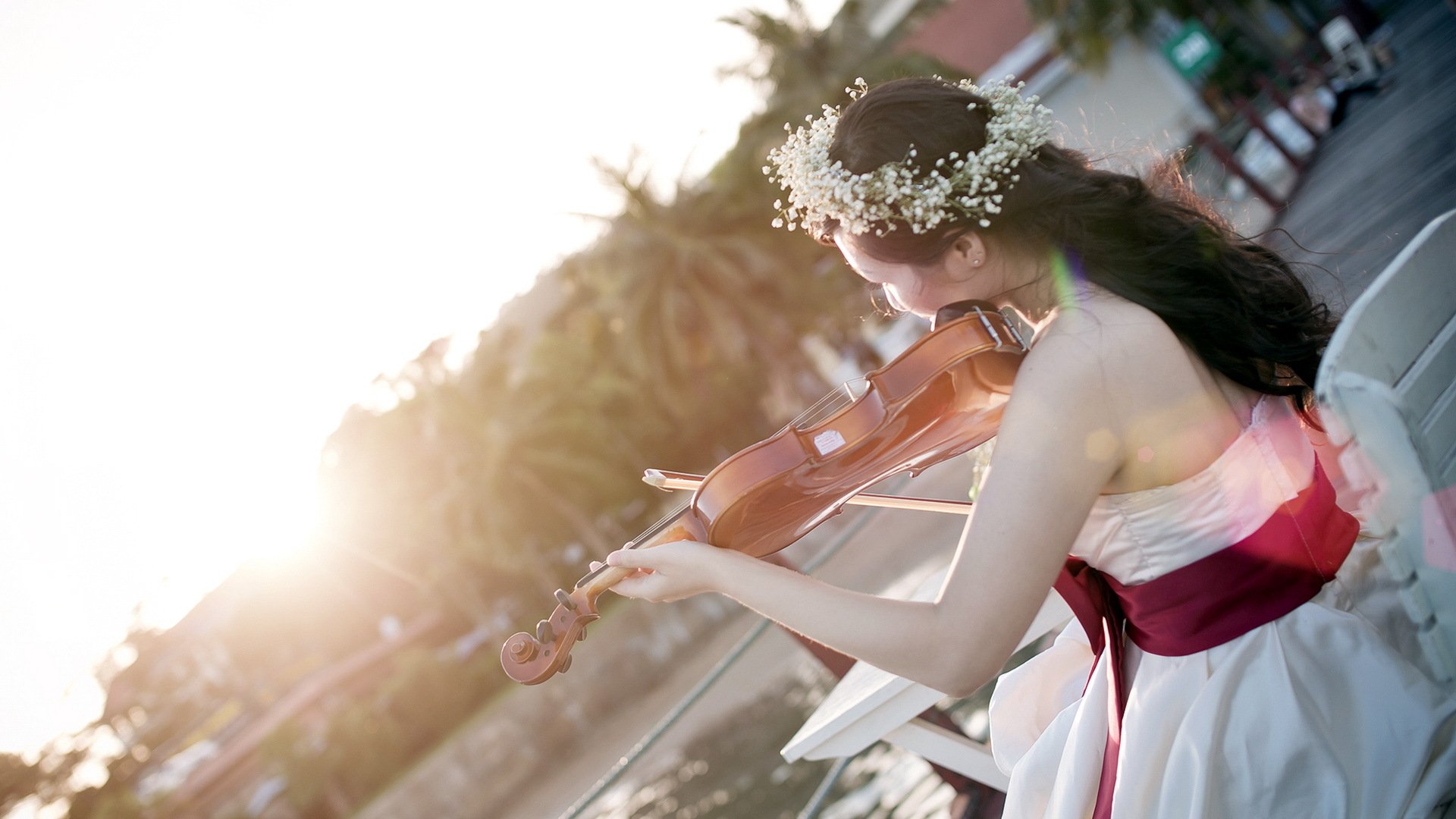 girl music light violin