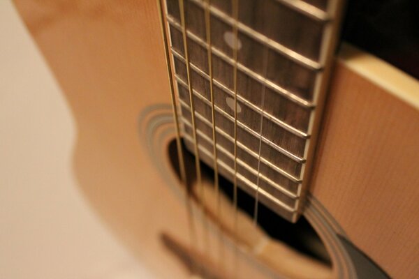 Guitar neck close-up