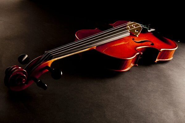 The violin is lying on a dark background