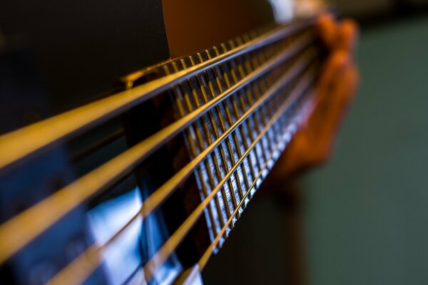 Guitar neck close-up