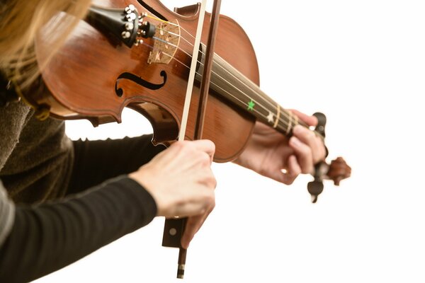 Musicien jouant du violon sur fond blanc