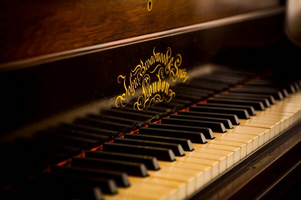Beautiful black piano close-up