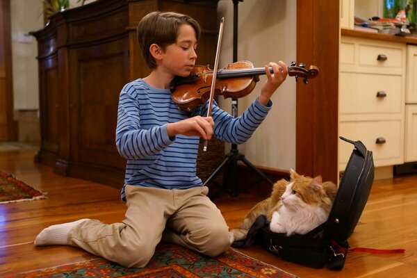 A violinist plays in the kitchen with a cat