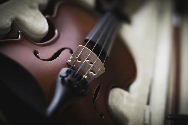 Un instrument merveilleux ce violon