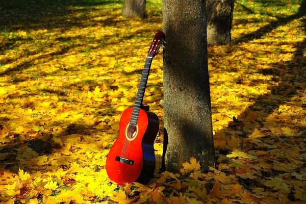 Red guitar on the ground in the autumn park