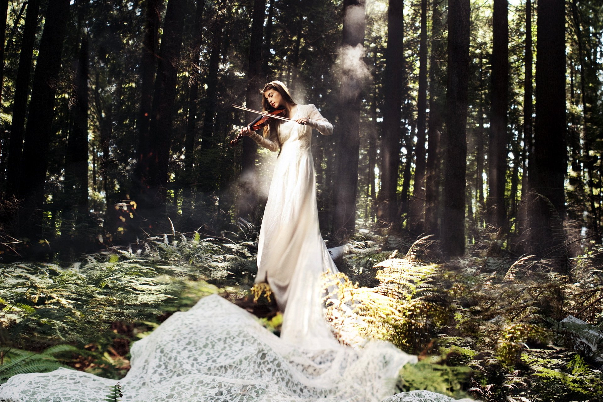 ragazza violino musica foresta