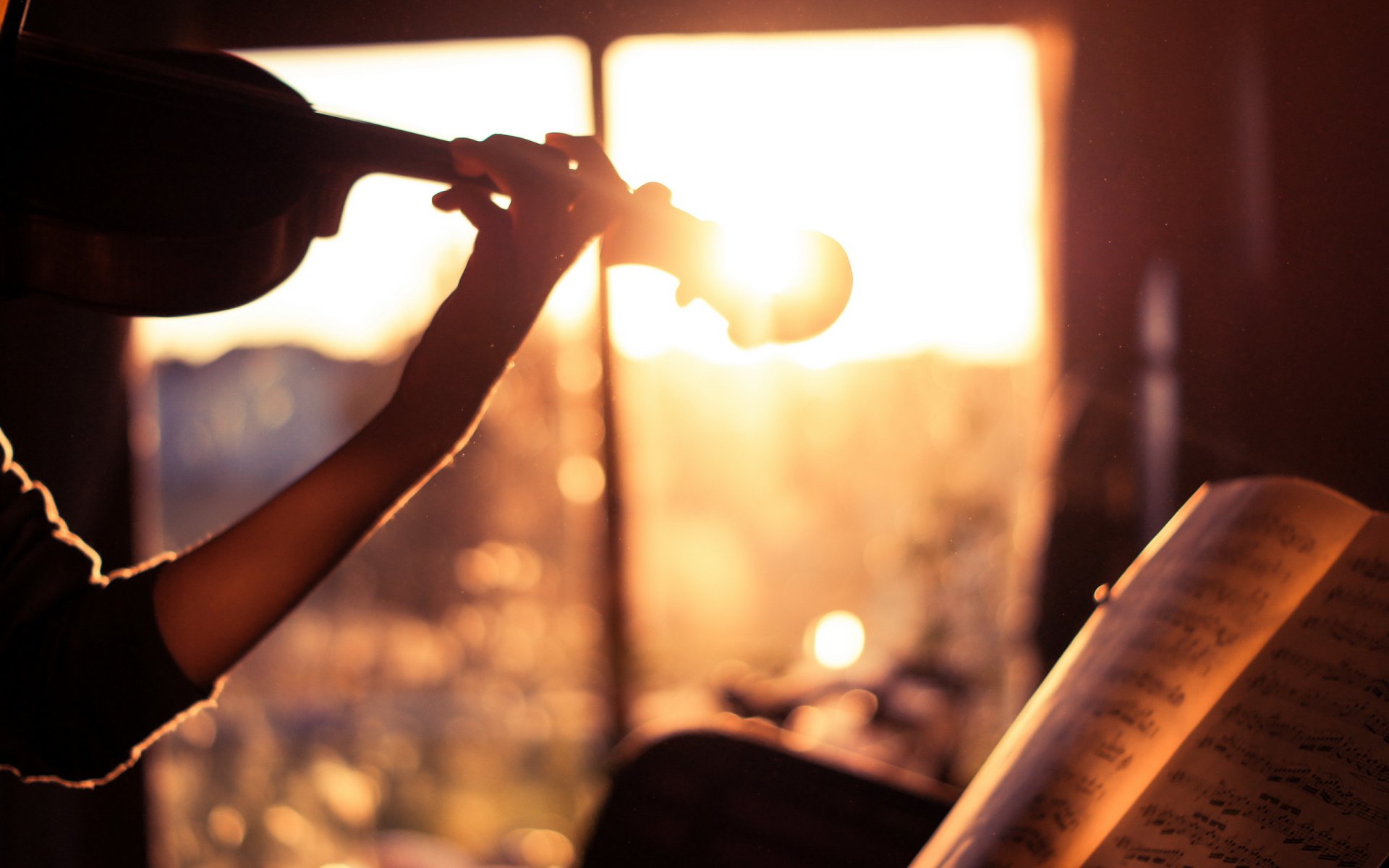 musik geige noten licht stimmung das leben ist schön