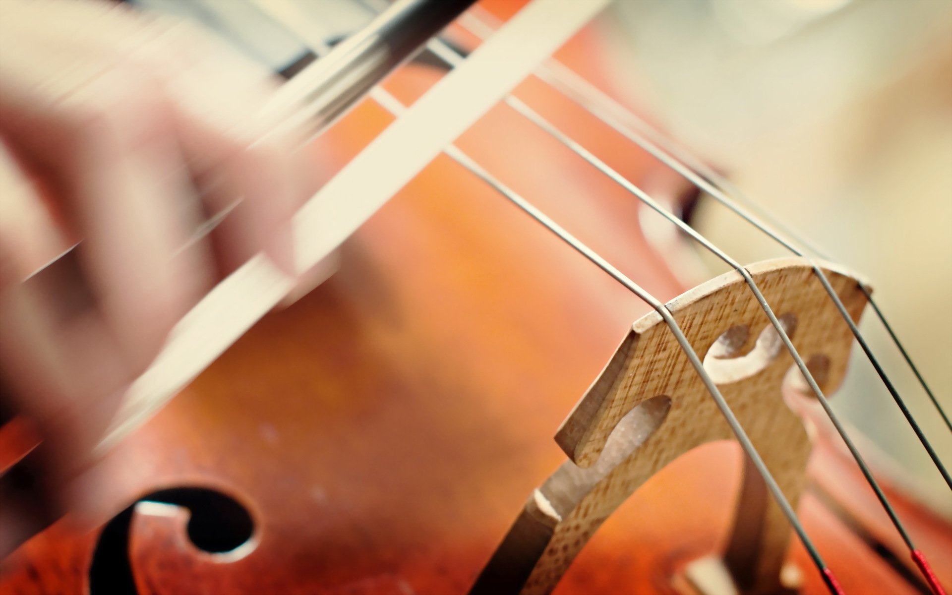 music violin close up