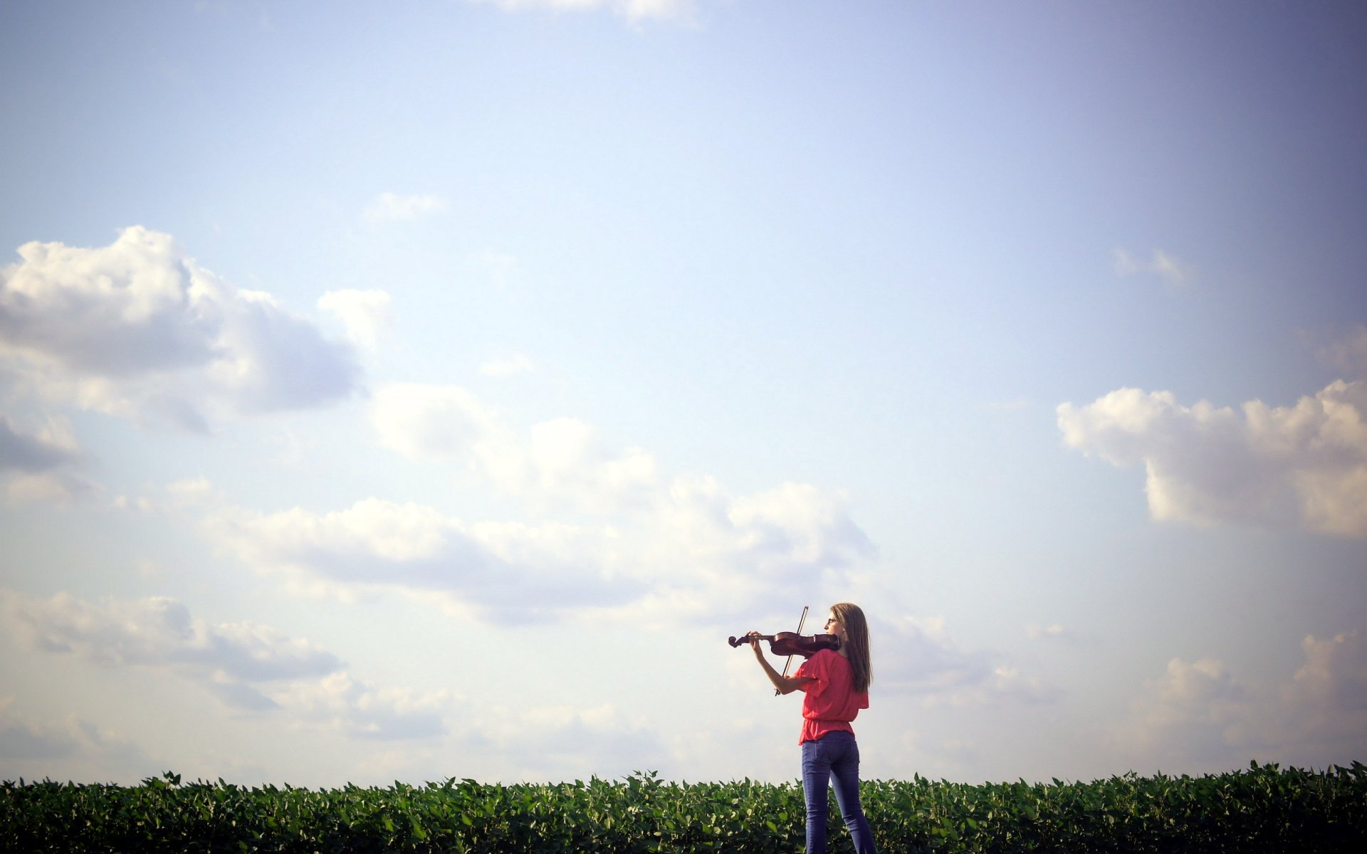 music girl violin the field