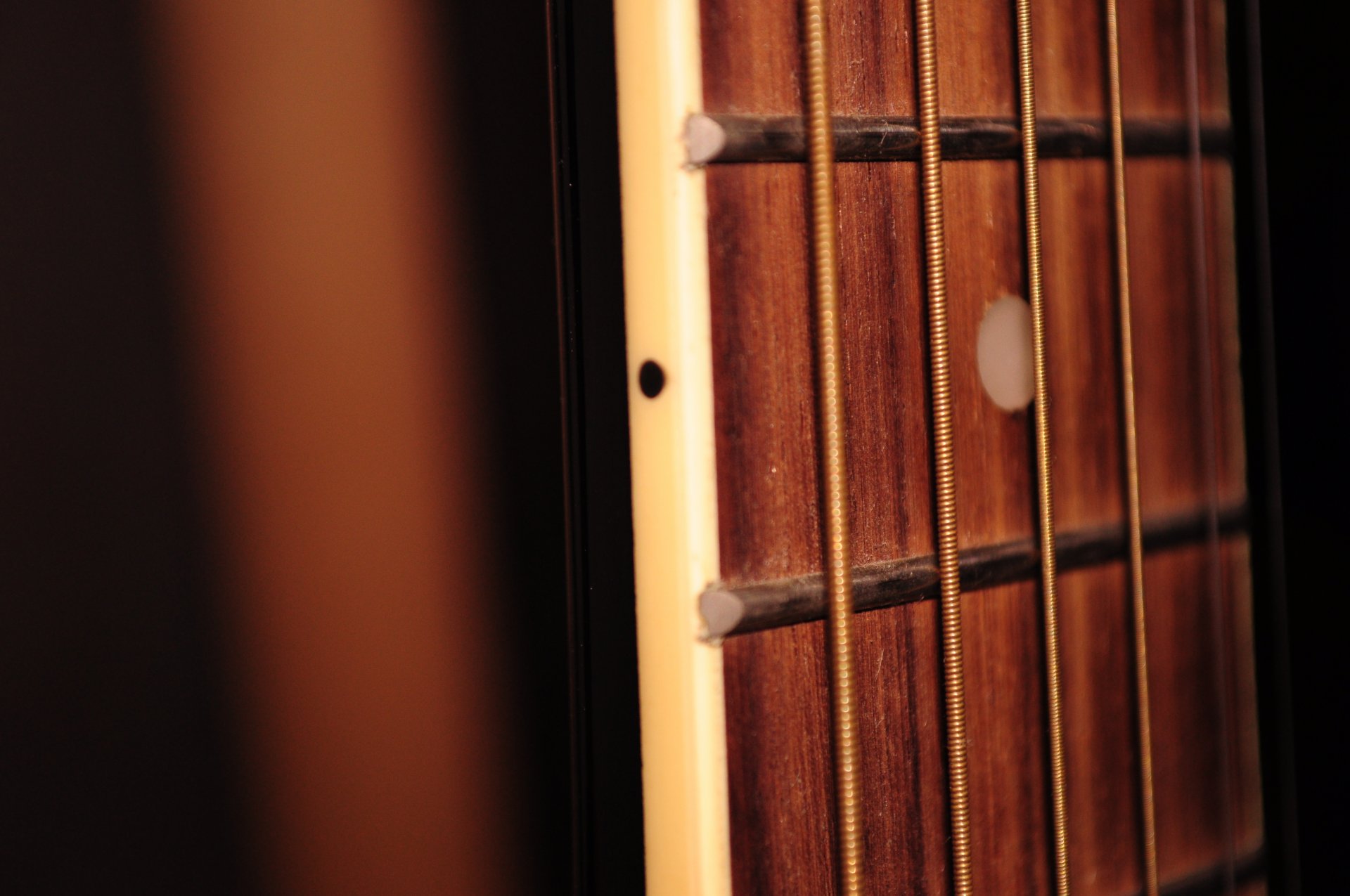 guitars string vulture music close up