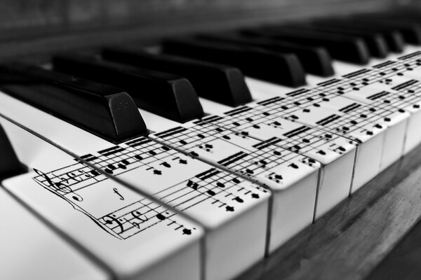 Black and white piano keys with notes painted on them