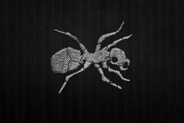 Ant on a dark background