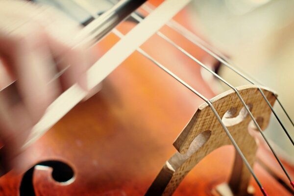 Macro photography of violin playing