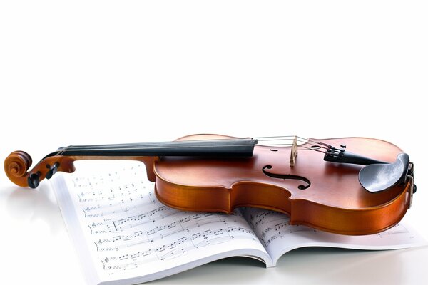 The violin is lying on the music book