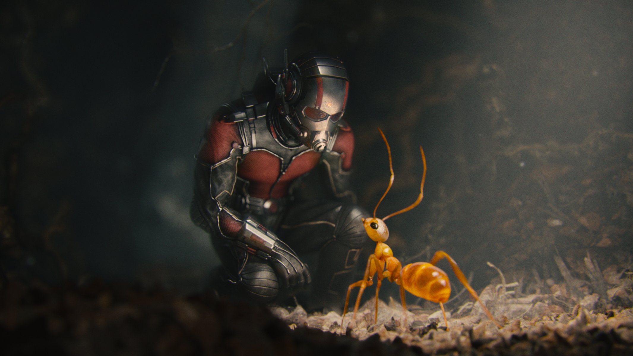 ant-man marvel komiks kask kostium superbohater ant-man