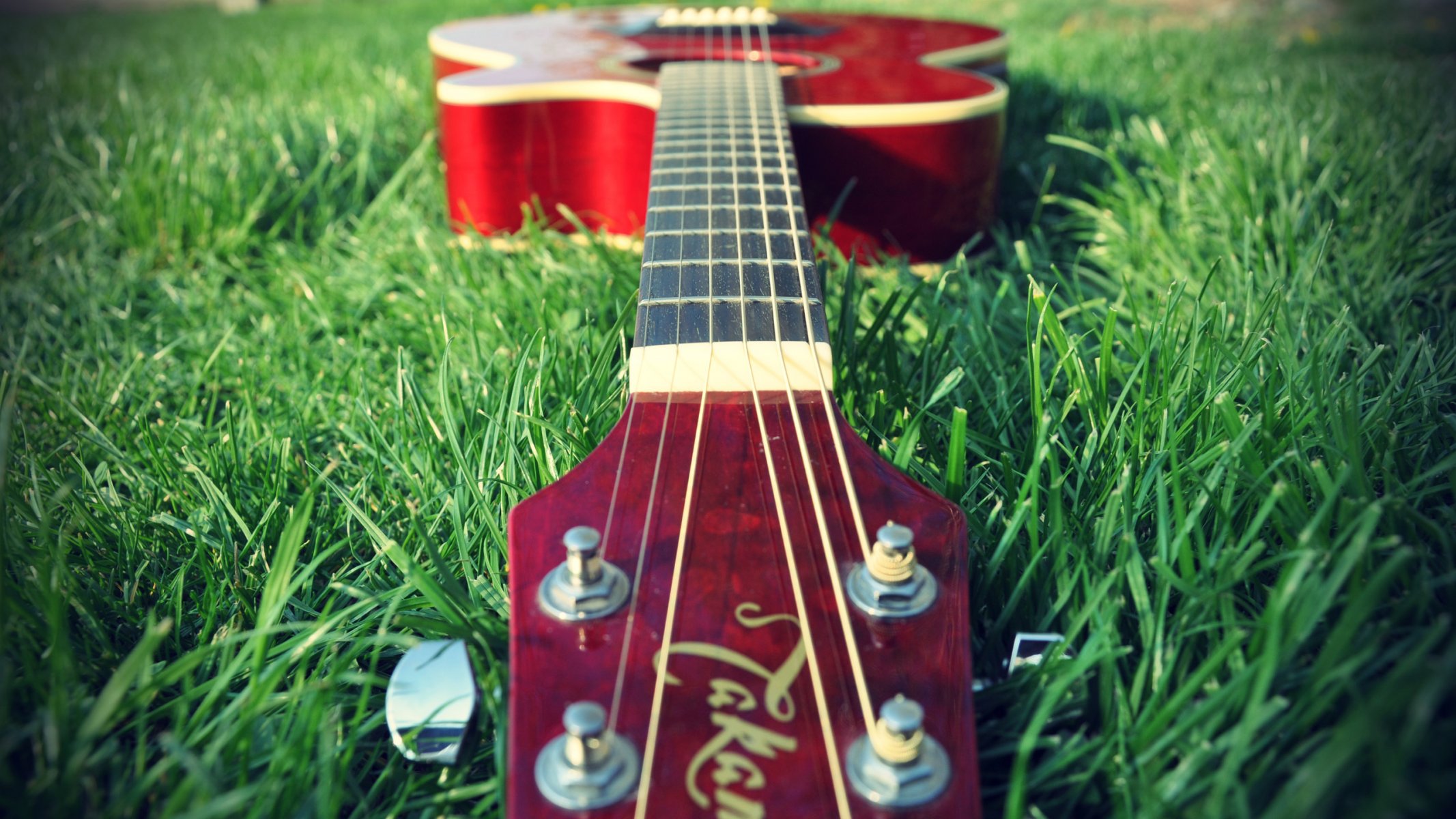 instrumento musical guitarra naturaleza hierba plantas estados de ánimo música fondo de pantalla