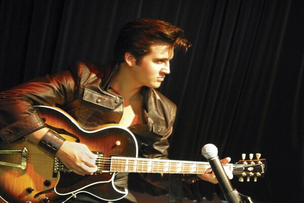 Elvis Presley, concert, guitare, micro