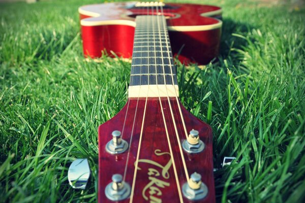 Guitar lying among the green grass