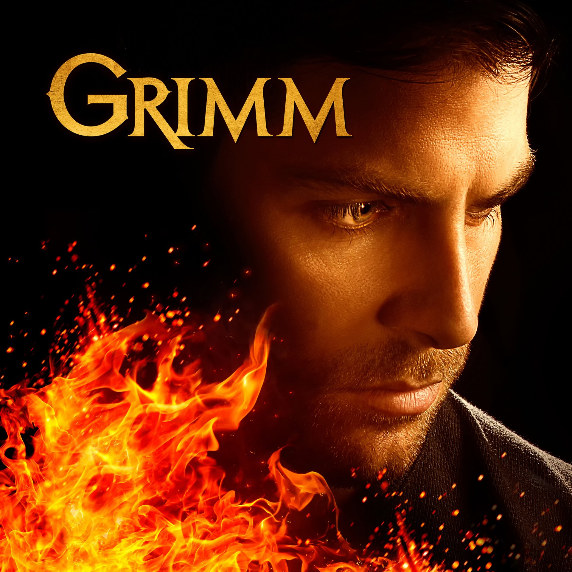 gintoli grimm affiche 2015