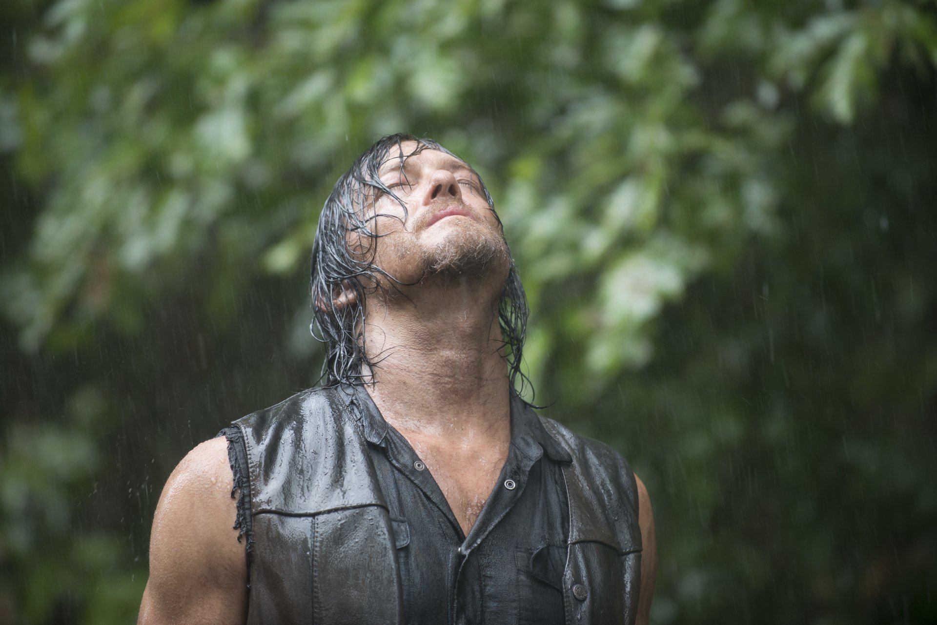 the walking dead the walking dead serie de televisión daryl dixon norman reedus lluvia