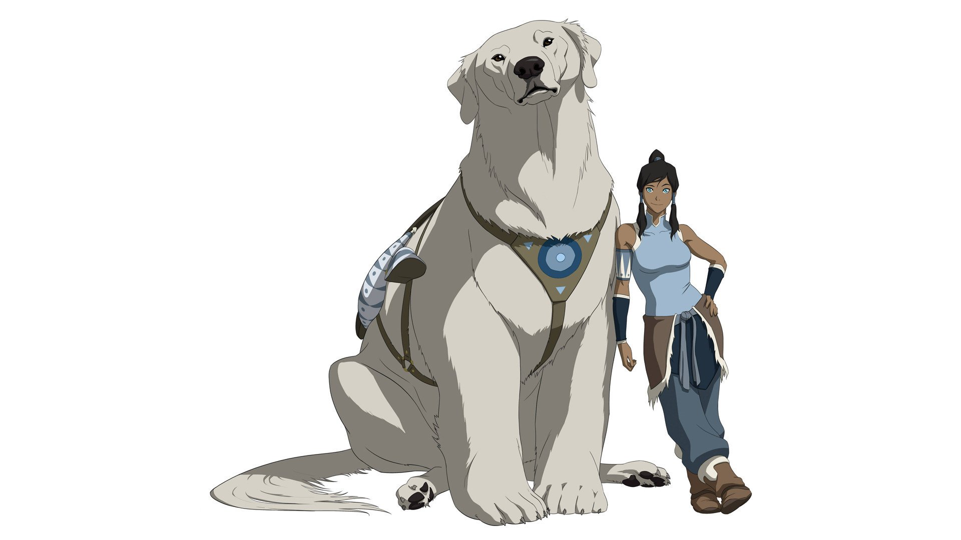 avatar legenda korry korra naga odzież niedźwiedź tło