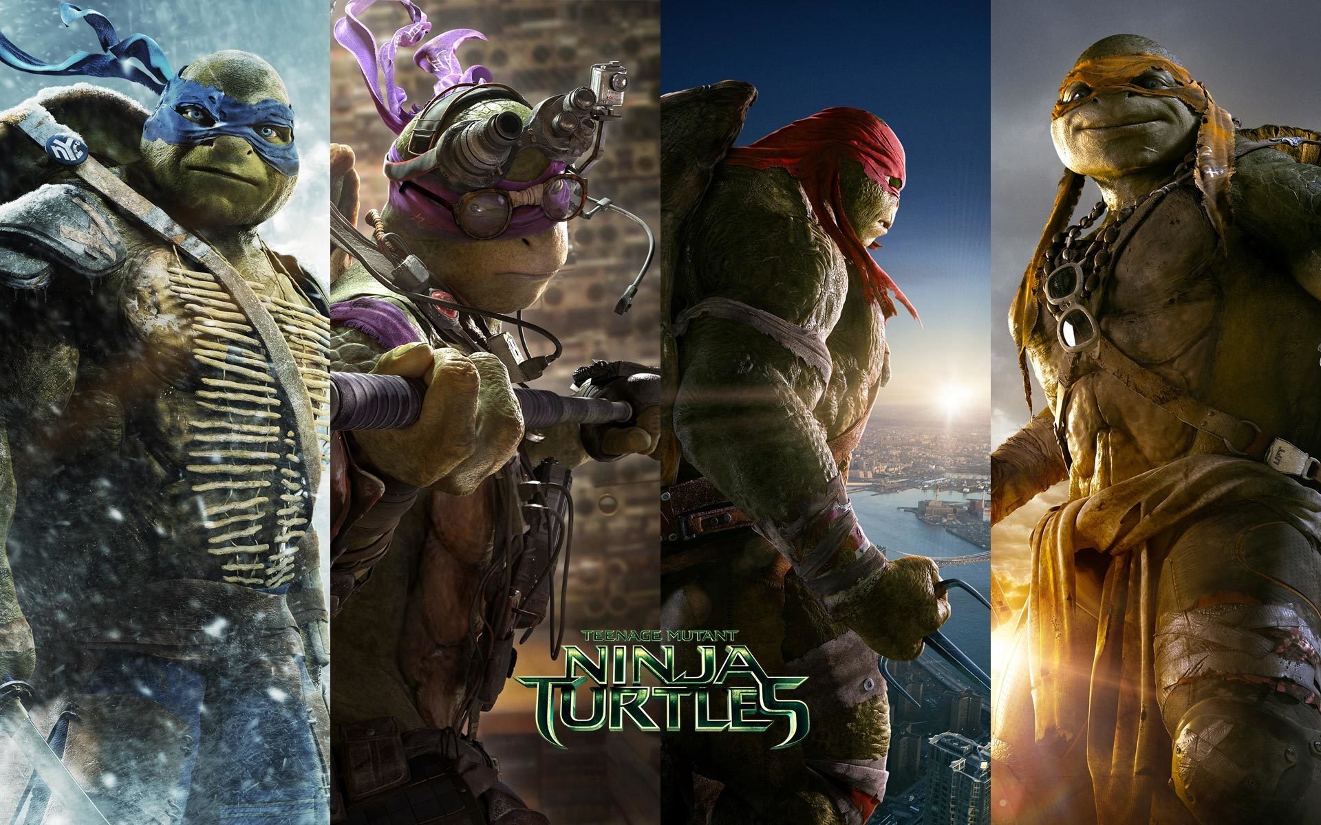 ninja turtles ninja turtles donatello leonardo michelangelo raphael raphael tmnt