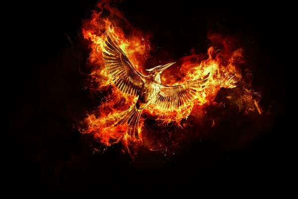 Giochi della fame mockingjay simbolismo