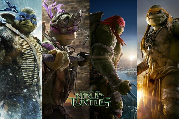 Teenage mutant ninja Turtles Rafael, Donatello, Leonardo, Mikilangelo