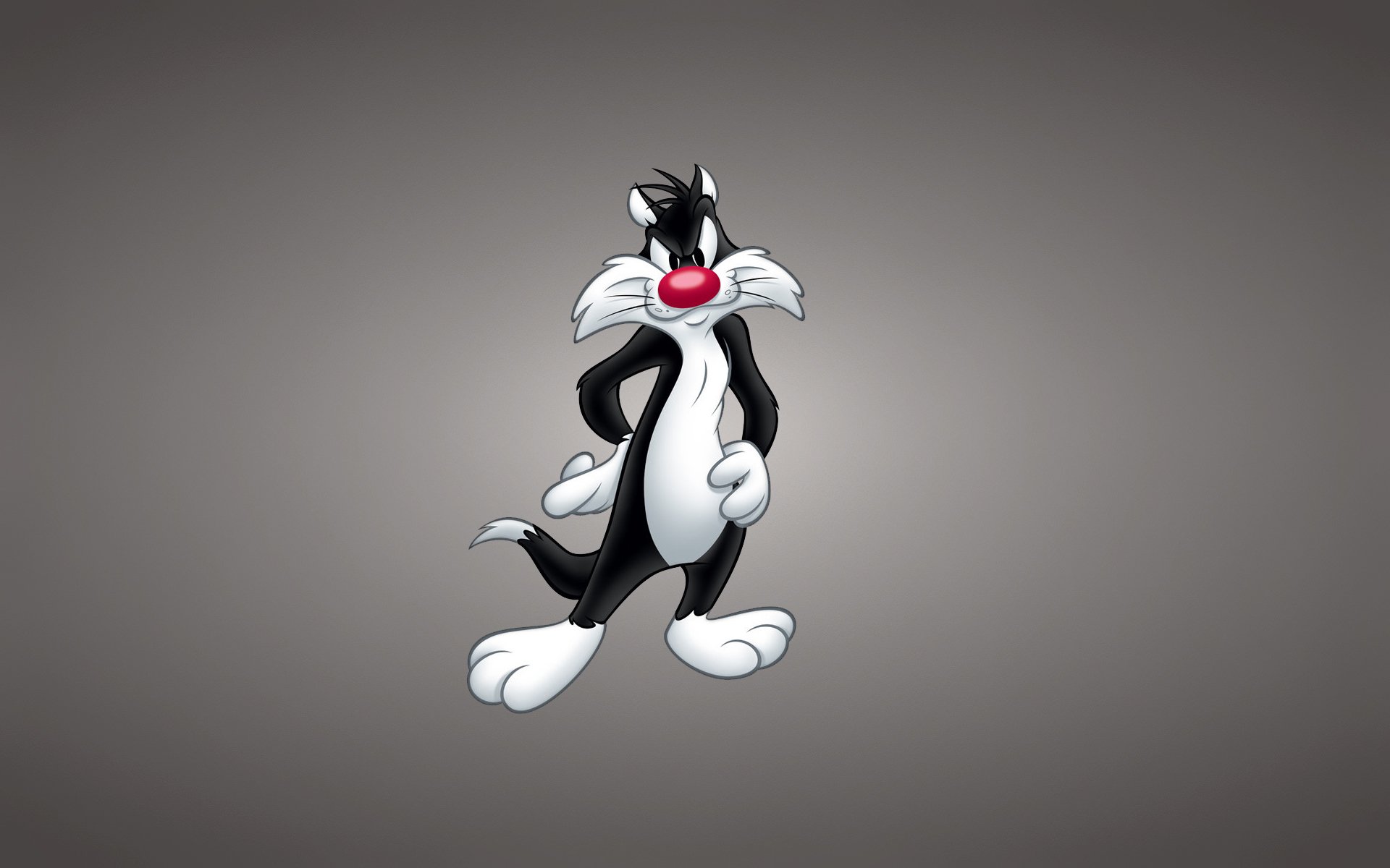 looney tunes sonneries drôles looney tunes chat sylvester chat sylvester