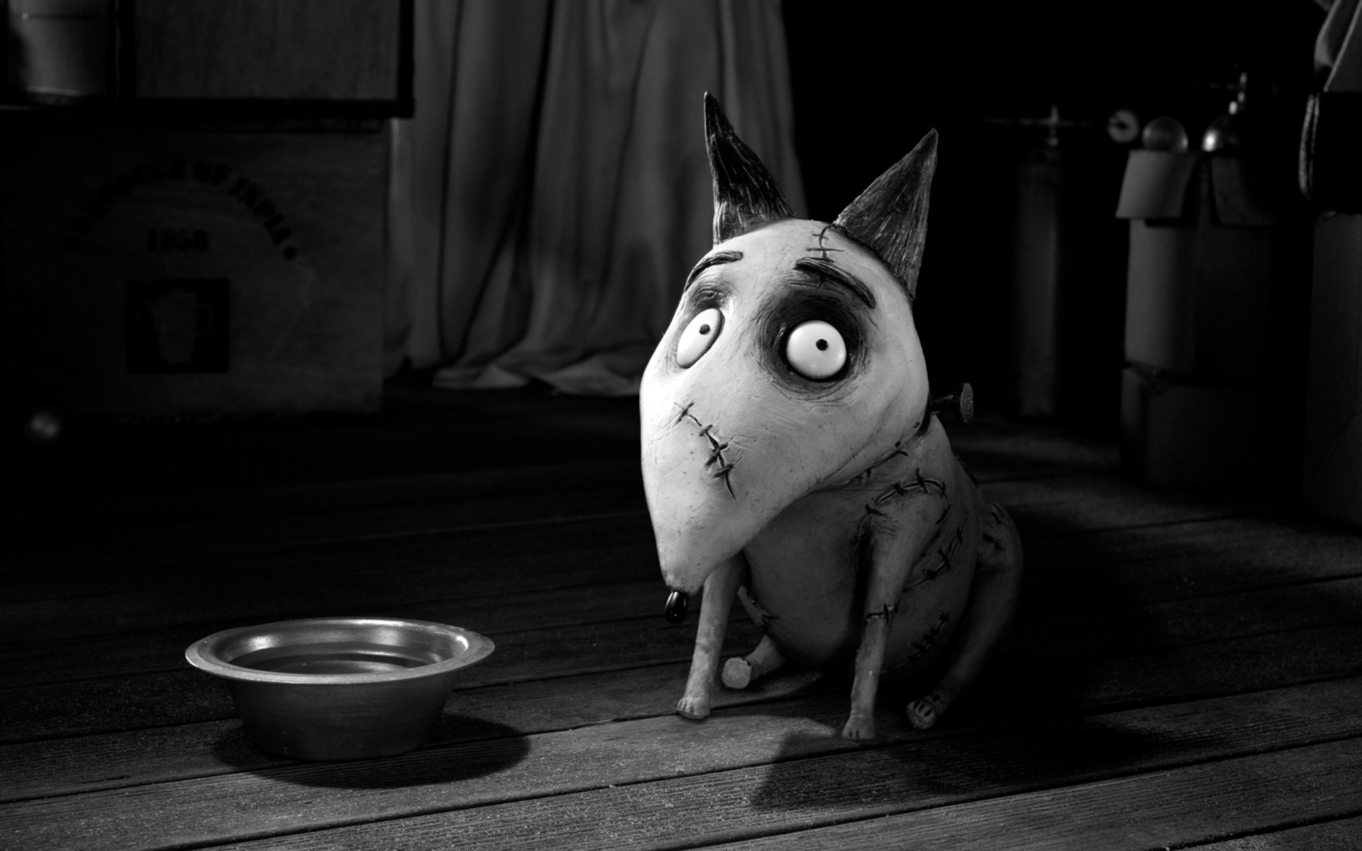 frankenweenie perro tazón de fuente dibujos animados