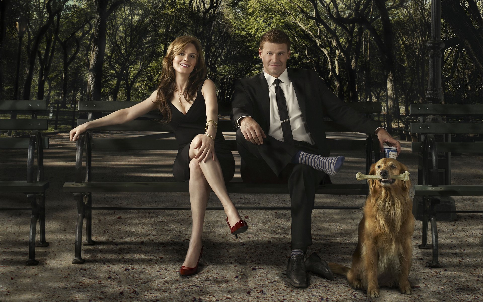 knochen fernsehen film david borianaz david patrick boreanaz emily deschanel hund bank park socke