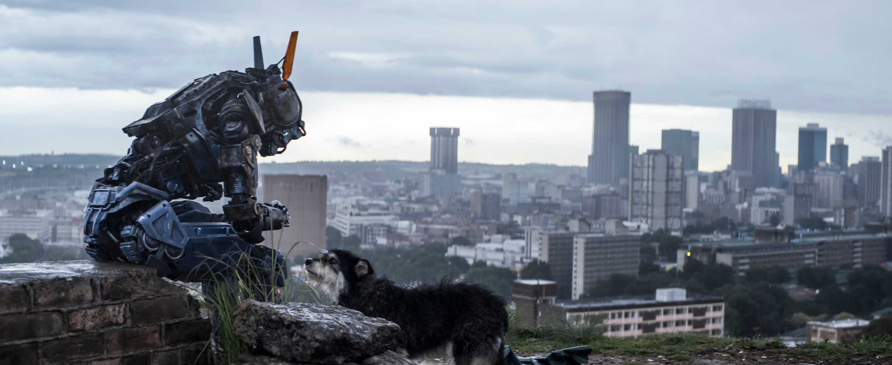 ragazzo un robot di nome chappie sono scoperta sono incredibile sono un ragazzo