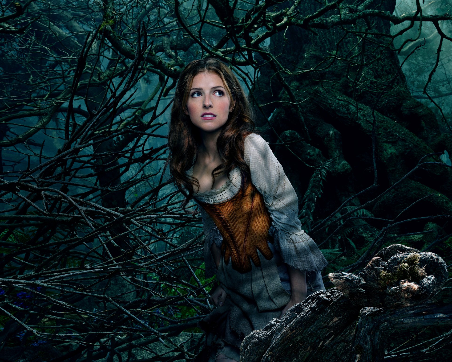 into the forest denote forest movie movie 2014 year anna kendrick cinderella walt disney pictures comedy family fantasy musical girl woman face blue eyes lips trees nature mountains sky darkness night hd wallpaper